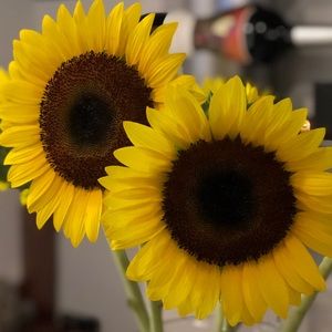 Meet your Posher, Andrea